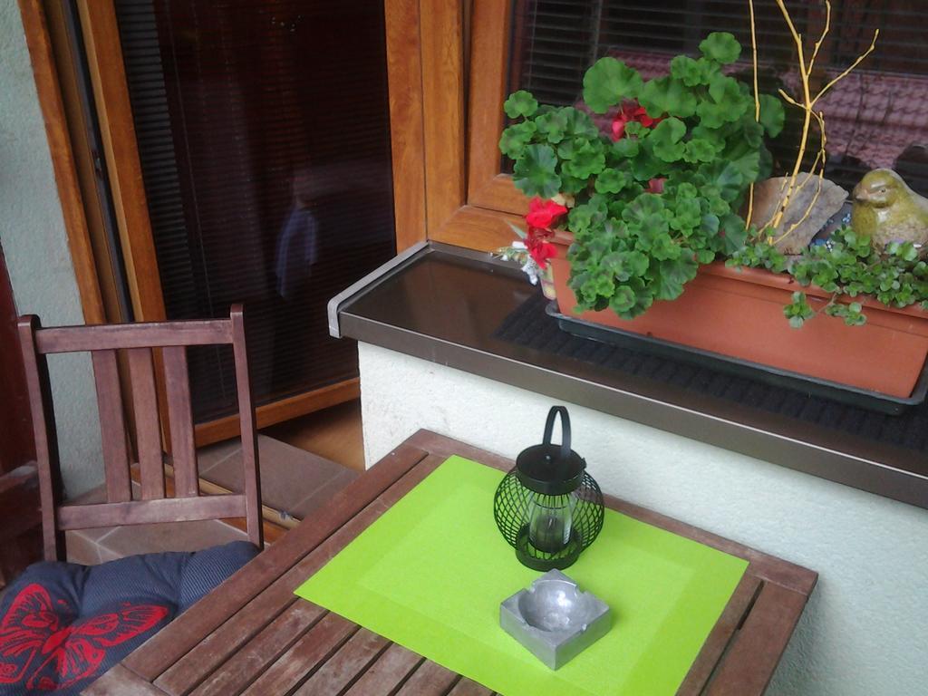 Apartmán Fatrapark 1 - U Sovičky Ruzomberok Exteriér fotografie